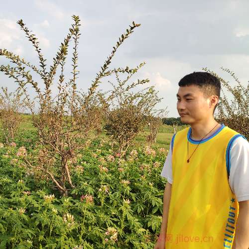37岁岁广东单身帅哥 - 苏州吉缘网